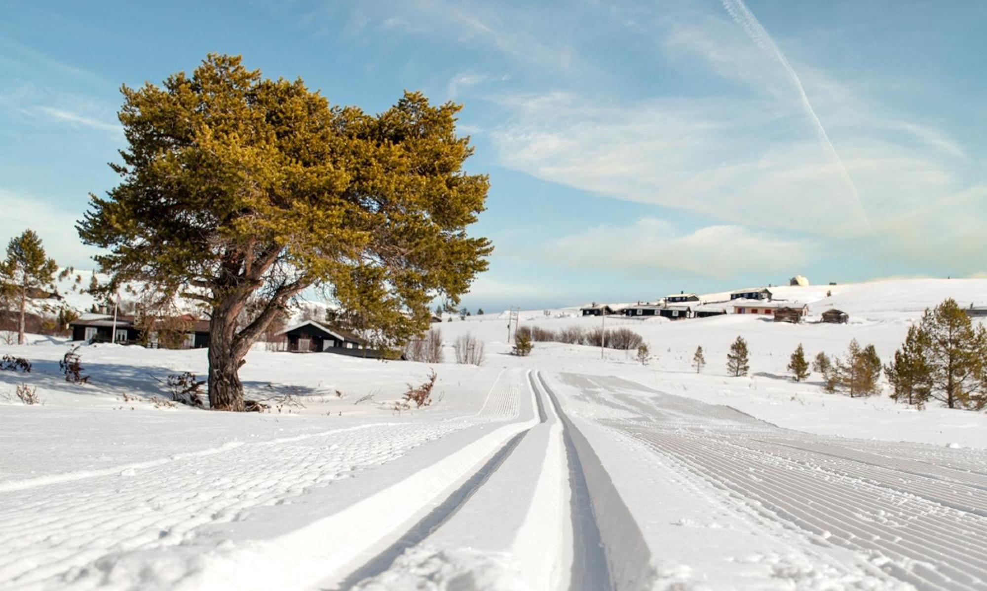Rondane Haukliseter Fjellhotell Høvringen Exterior foto